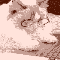 A ragdoll with glasses sitting in front of a laptop